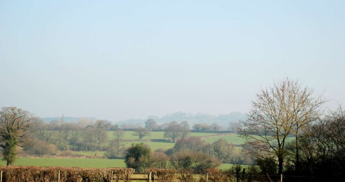 View of the field on a misty morning